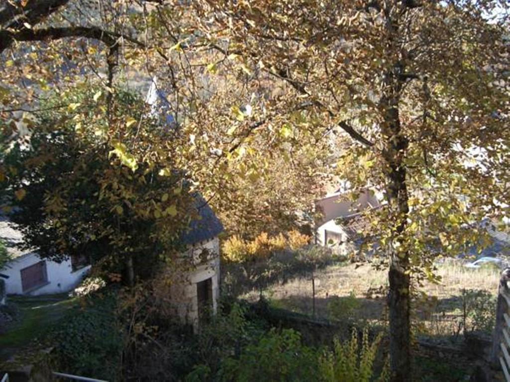 Les Fleurs De Marie Vila La Cresse Quarto foto